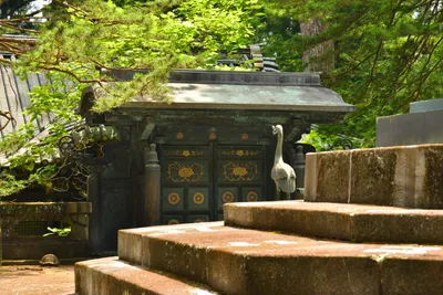 DSC_3902 (Large).JPG